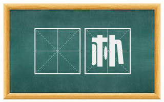 惇朴