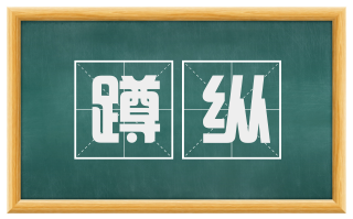 蹲纵