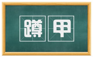 蹲甲