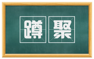 蹲聚