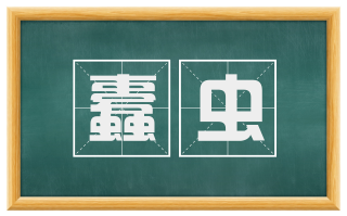 蠹虫