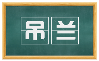 吊兰