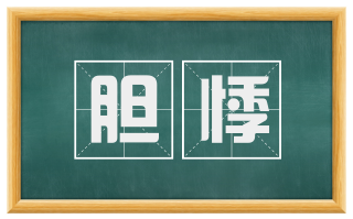 胆悸