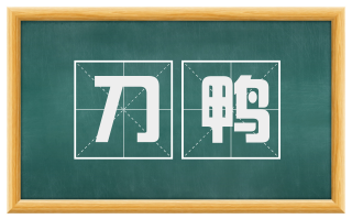 刀鸭