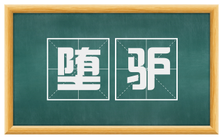 堕驴