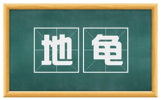 地龟