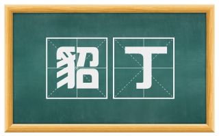 貂丁