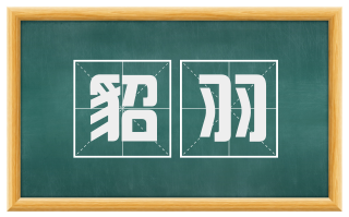 貂羽