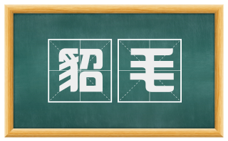 貂毛