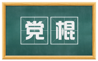 党棍
