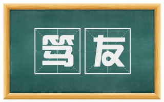 笃友
