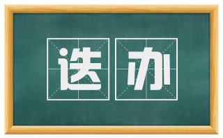 迭办
