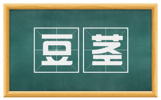 豆茎
