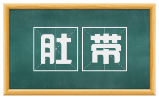 肚带