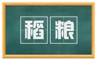 稻粮