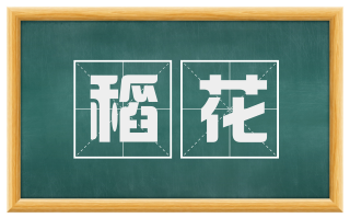 稻花