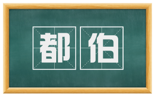 都伯