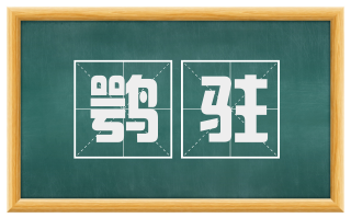 鹗驻