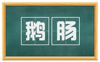 鹅肠