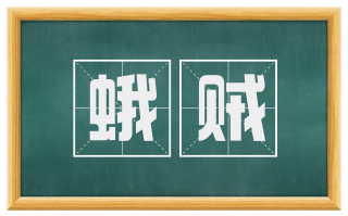 蛾贼