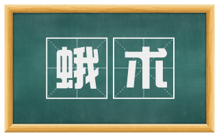 蛾术