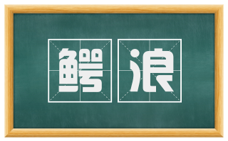 鳄浪