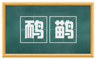 鸸鹋