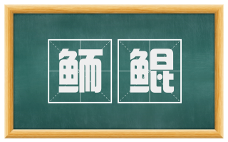 鲕鲲