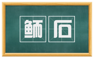 鲕石