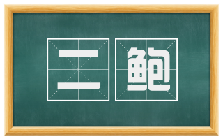 二鲍