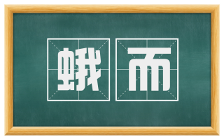 蛾而