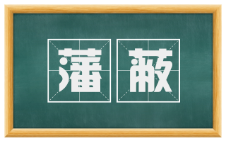 藩蔽
