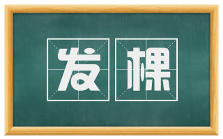 发棵