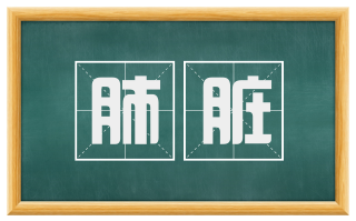 肺脏