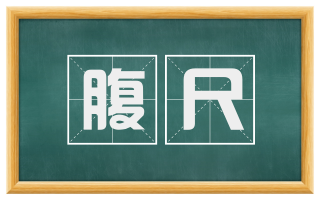腹尺