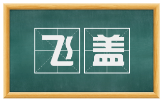 飞盖