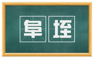 阜垤