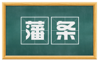 藩条