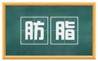 肪脂