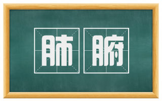 肺腑