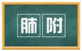 肺附