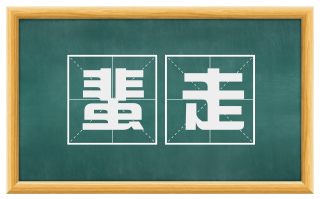 蜚走
