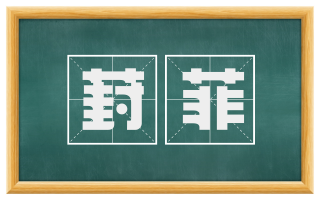葑菲