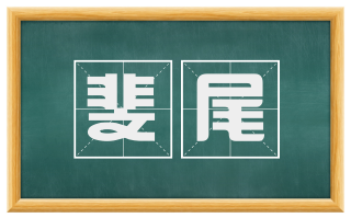斐尾