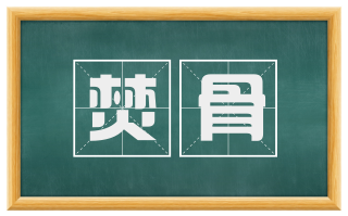 焚骨