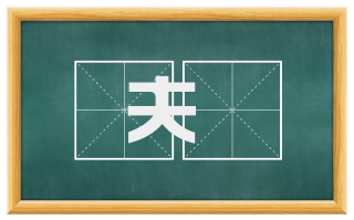 夫皁
