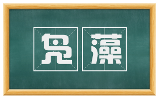 凫藻