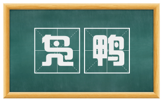 凫鸭