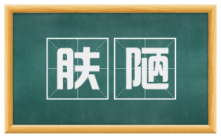 肤陋