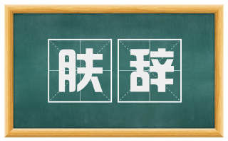 肤辞